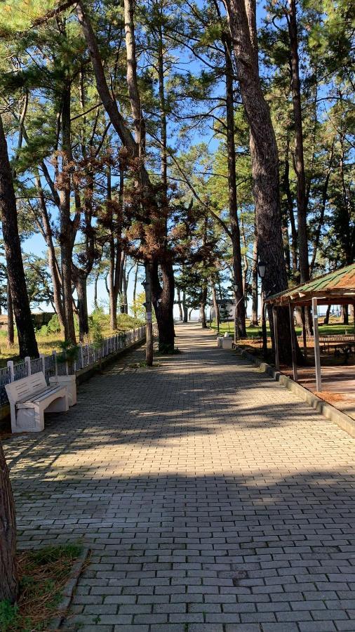 Hotel Estonia Two Kobuleti Εξωτερικό φωτογραφία